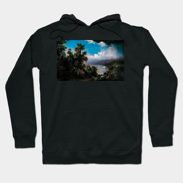 Tropical coast overlook Hoodie by freedom-dream